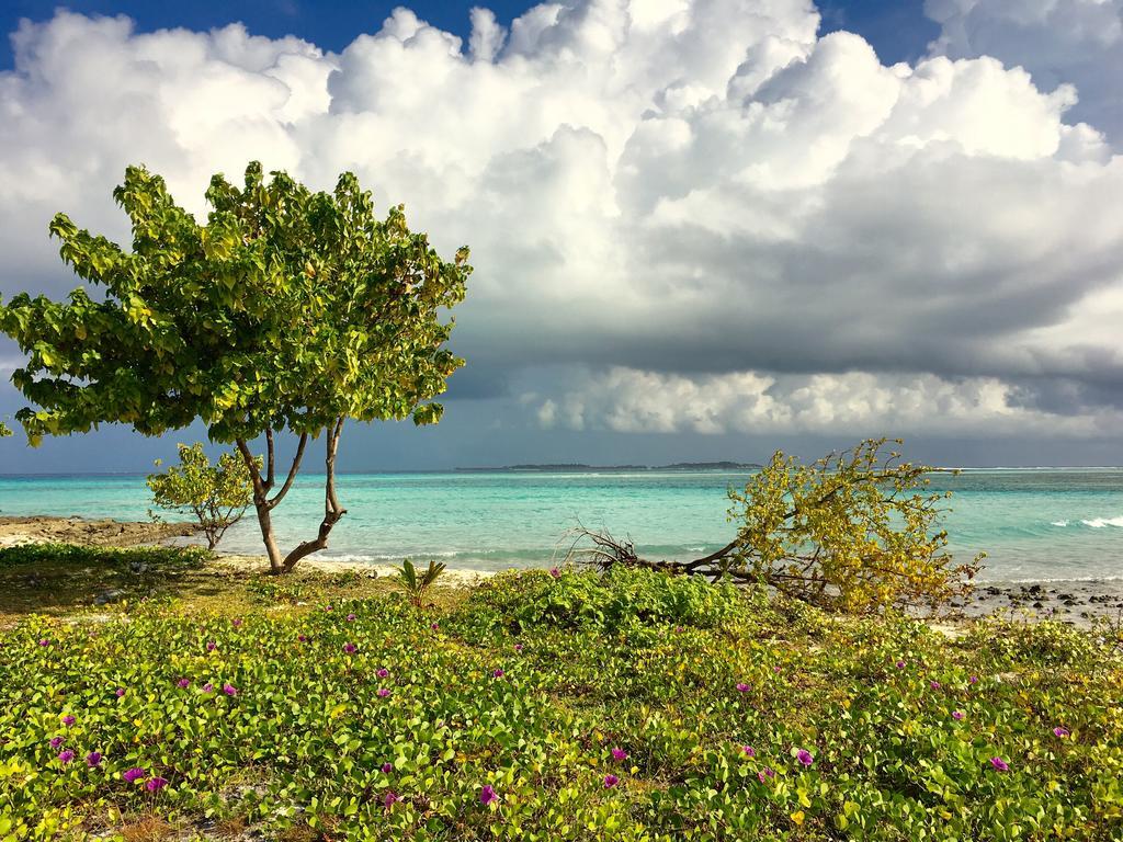 Faza View Inn, Maafushi Esterno foto